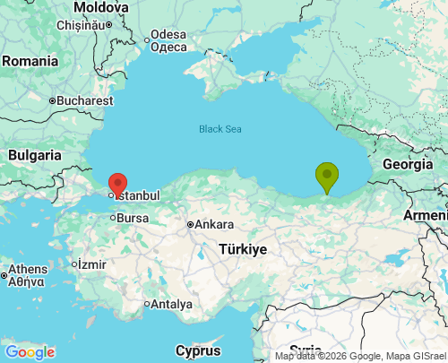 Akçaabat Trabzon Pendik İstanbul arası evden eve nakliyat