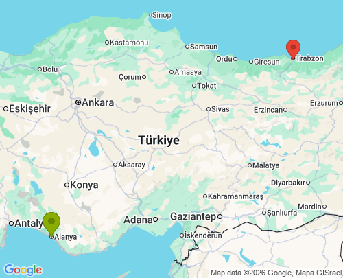 Alanya Antalya Ortahisar Trabzon arası evden eve nakliyat