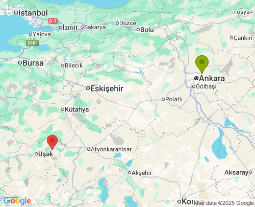 Ankara Uşak arası evden eve nakliyat