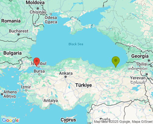 Trabzon İstanbul arası evden eve nakliyat
