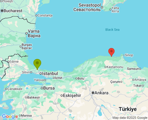 Arnavutköy İstanbul Çatalzeytin Kastamonu arası evden eve nakliyat