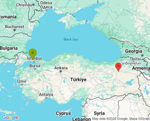 İstanbul Erzurum arası evden eve nakliyat