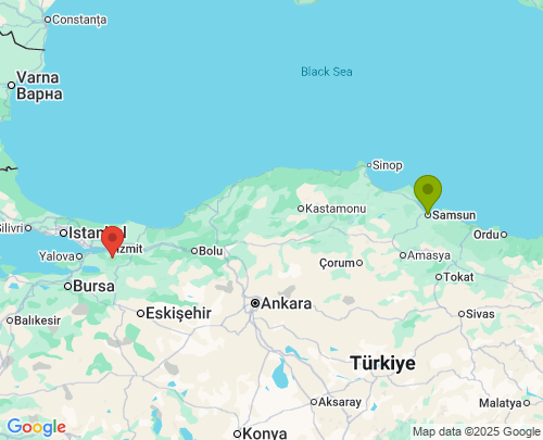 Samsun Kocaeli arası evden eve nakliyat