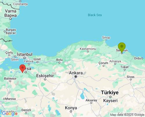 Samsun Bursa arası evden eve nakliyat