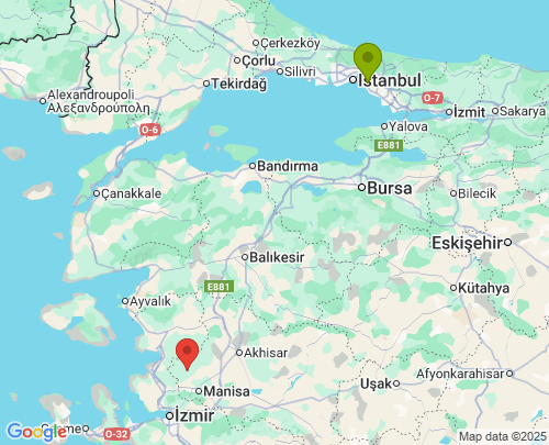 İstanbul Manisa arası evden eve nakliyat