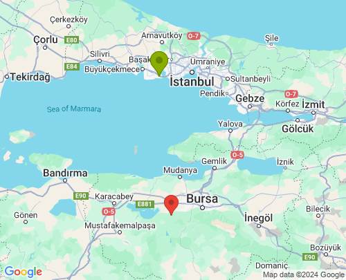 İstanbul Bursa arası evden eve nakliyat