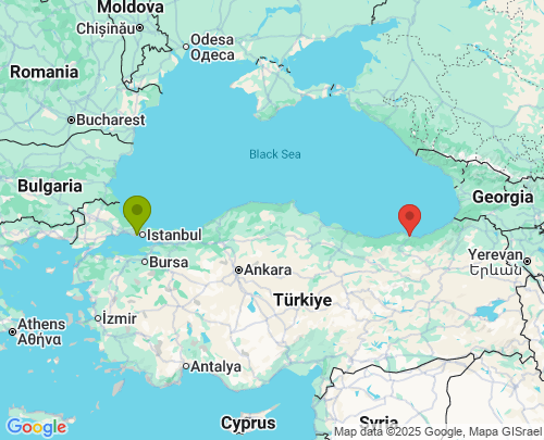 İstanbul Trabzon arası evden eve nakliyat