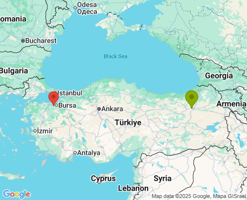 Erzurum Bursa arası evden eve nakliyat