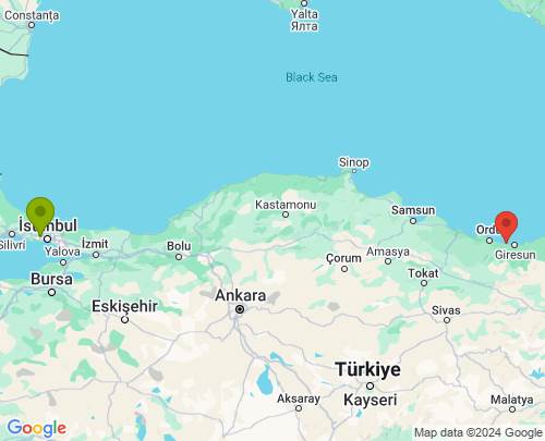 İstanbul Giresun arası evden eve nakliyat