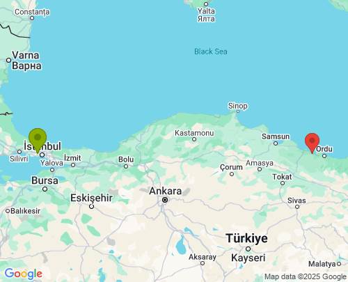 İstanbul Ordu arası evden eve nakliyat