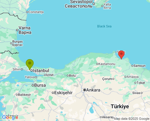 İstanbul Samsun arası evden eve nakliyat