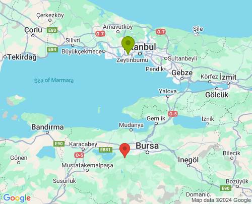İstanbul Bursa arası evden eve nakliyat