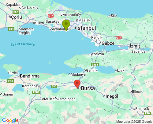 İstanbul Bursa arası evden eve nakliyat