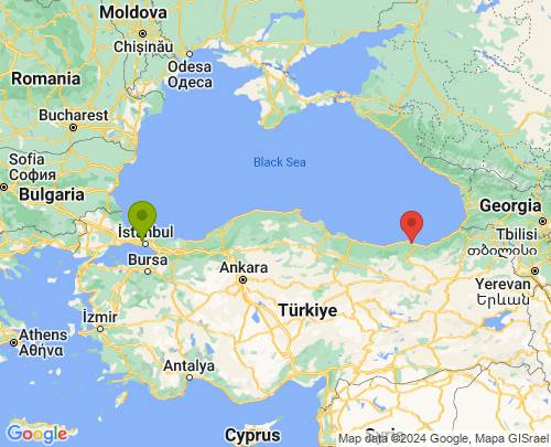 İstanbul Trabzon arası evden eve nakliyat