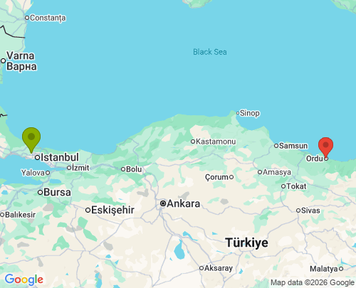 İstanbul Ordu arası parça eşya taşıma