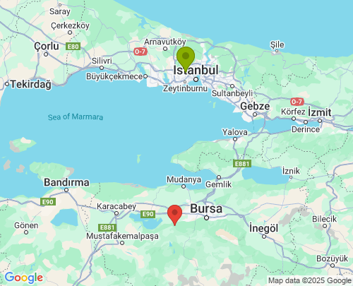 İstanbul Bursa arası evden eve nakliyat