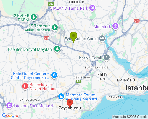 Bayrampaşa İstanbul Zeytinburnu İstanbul arası evden eve nakliyat