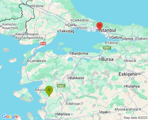 İzmir İstanbul arası evden eve nakliyat