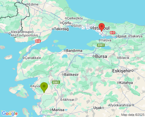 Bergama İzmir Tuzla İstanbul arası evden eve nakliyat
