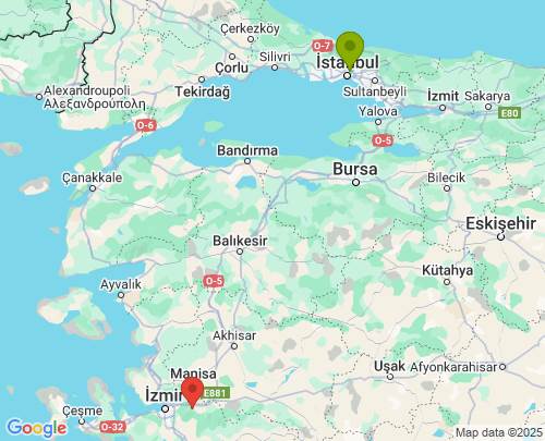 İstanbul İzmir arası evden eve nakliyat