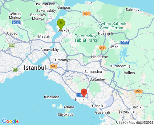 Beykoz Kartal arası ofis taşıma