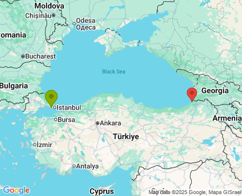 İstanbul Artvin arası evden eve nakliyat