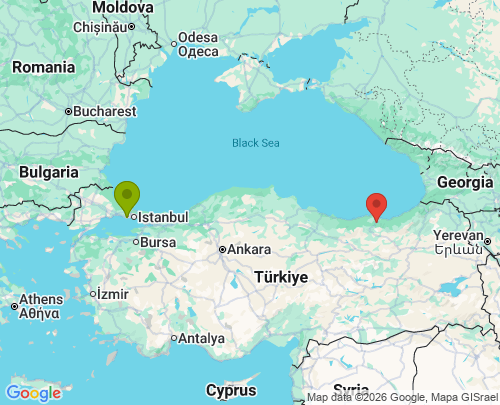 İstanbul Trabzon arası evden eve nakliyat