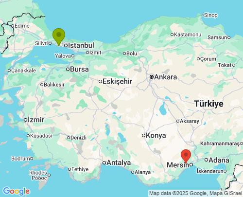 İstanbul Mersin arası evden eve nakliyat
