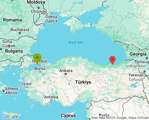 İstanbul Trabzon arası evden eve nakliyat