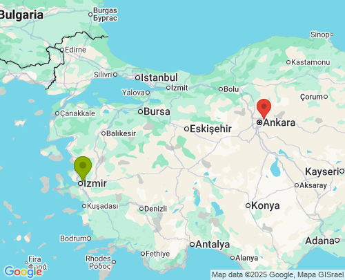 İzmir Ankara arası evden eve nakliyat