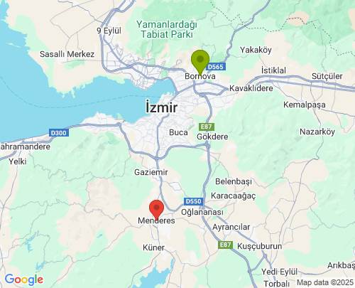 Bornova İzmir Menderes İzmir arası evden eve nakliyat