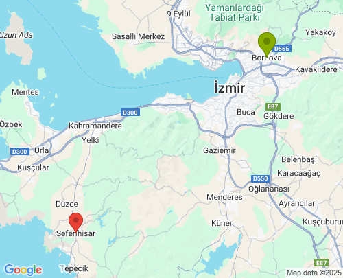 Bornova Seferihisar arası evden eve nakliyat