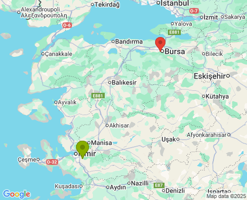 İzmir Bursa arası evden eve nakliyat