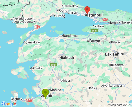 İzmir İstanbul arası araç nakliyatı