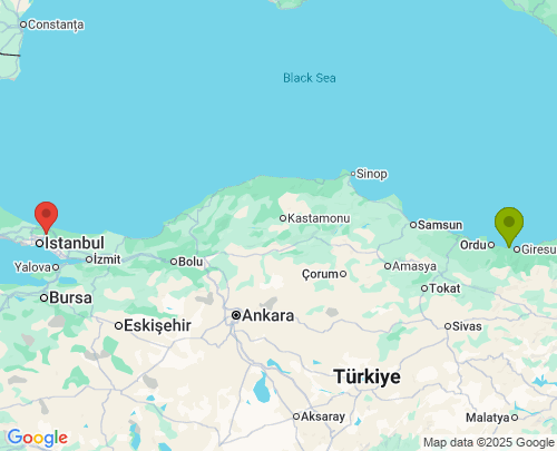 Giresun İstanbul arası evden eve nakliyat