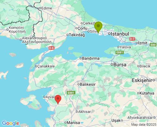 İstanbul İzmir arası evden eve nakliyat