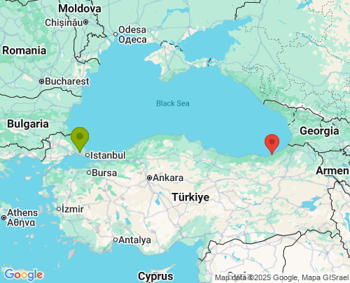 İstanbul Rize arası evden eve nakliyat