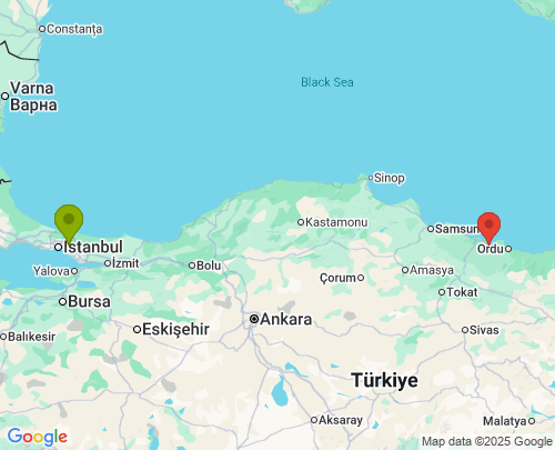 İstanbul Ordu arası evden eve nakliyat