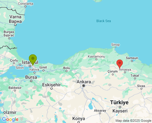 İstanbul Amasya arası evden eve nakliyat