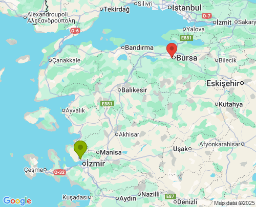 İzmir Bursa arası evden eve nakliyat