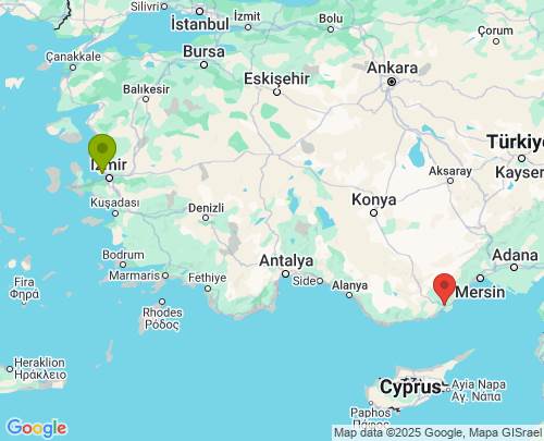 İzmir Mersin arası evden eve nakliyat