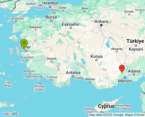 İzmir Mersin arası evden eve nakliyat
