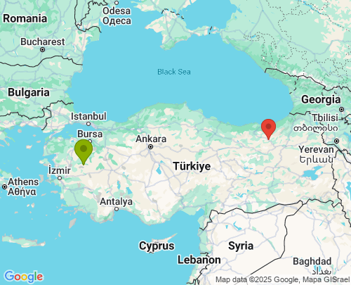 Manisa Bayburt arası evden eve nakliyat
