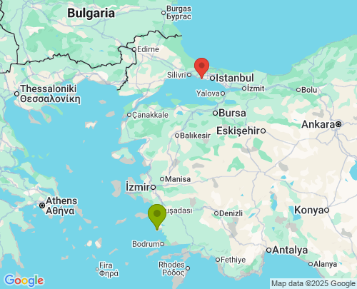 Didim Aydın Beylikdüzü İstanbul arası evden eve nakliyat