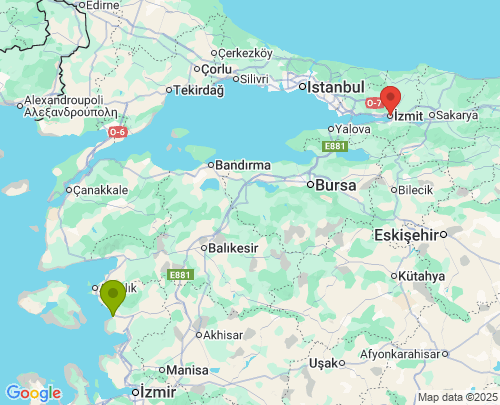 İzmir Kocaeli arası evden eve nakliyat