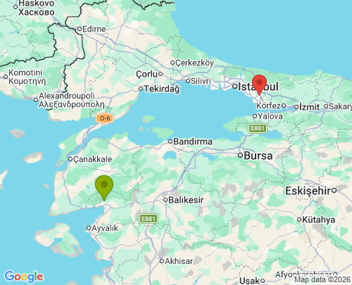 Balıkesir İstanbul arası evden eve nakliyat