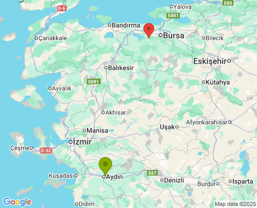 Aydın Bursa arası evden eve nakliyat