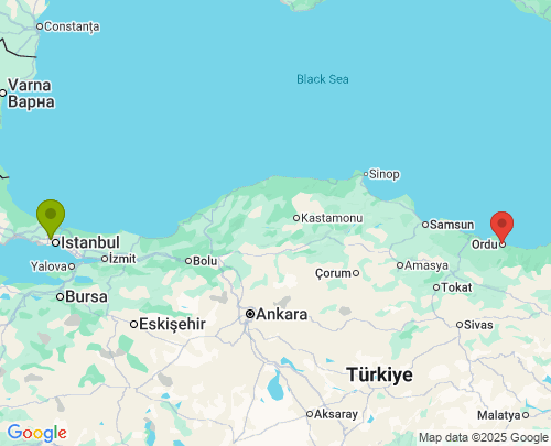 İstanbul Ordu arası evden eve nakliyat