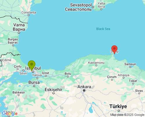 İstanbul Sinop arası evden eve nakliyat