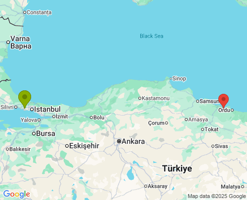 İstanbul Ordu arası evden eve nakliyat